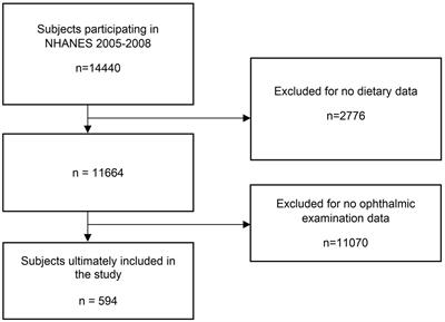 Relationship between high dose intake of vitamin B12 and glaucoma: Evidence from NHANES 2005–2008 among United States adults